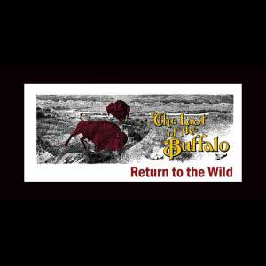 The Last of the Buffalo review